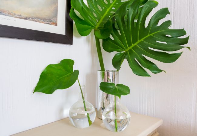 Apartamento en Torremolinos - Casa Doce - Pueblo Blanco Apartamento en Torremolinos - Casa Doce - Pueblo Blanco