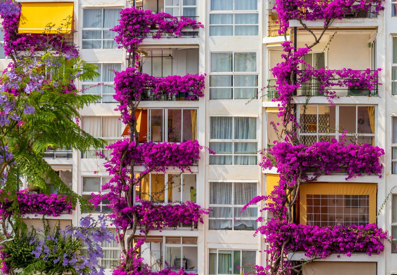Apartamento en Torremolinos - Casa Al Andalus - Terraza