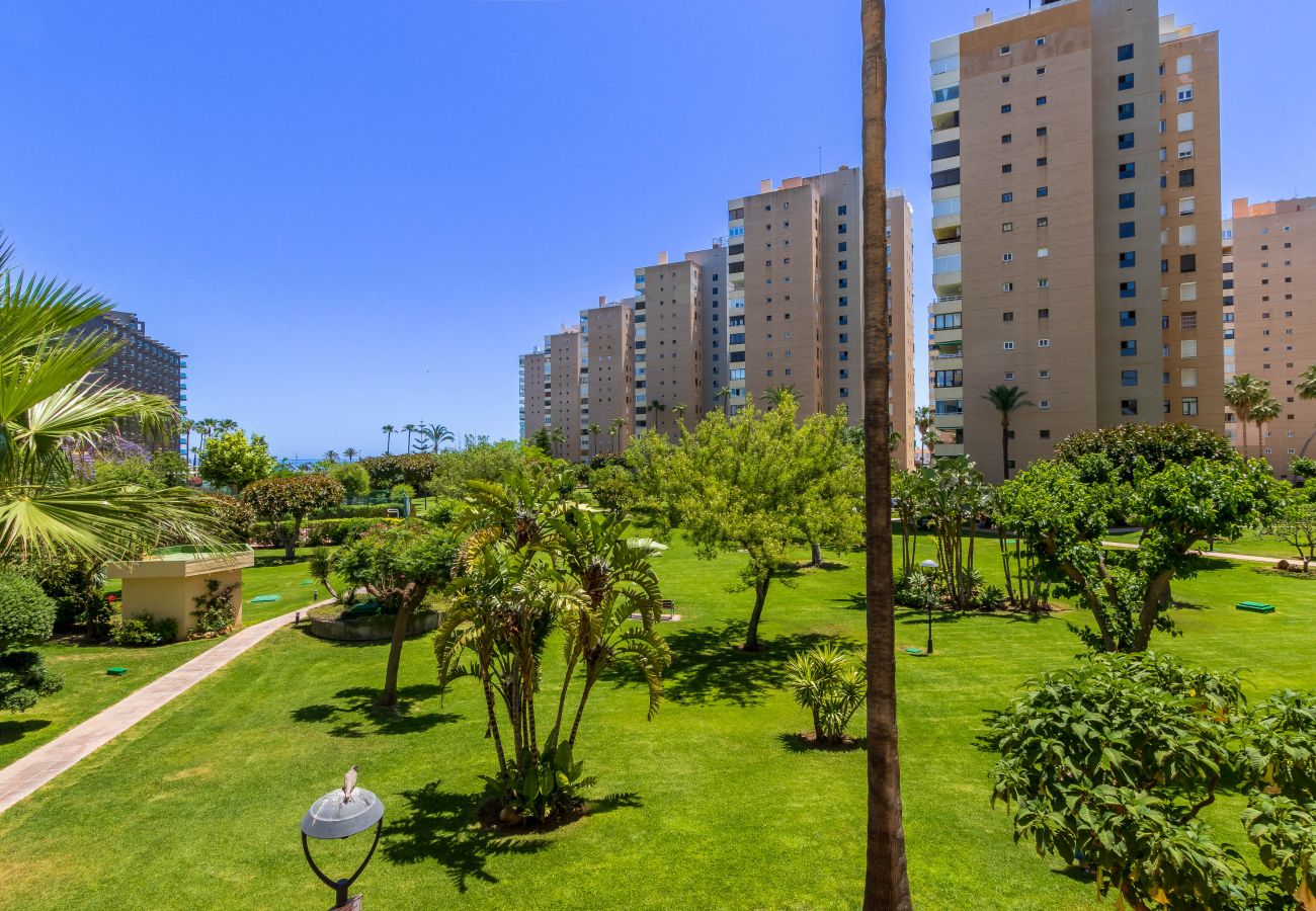 Apartamento en Torremolinos - Casa Sol y Mar - Playamar