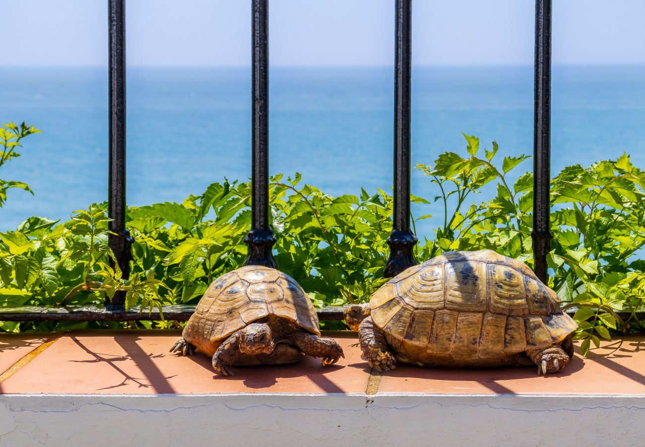 Apartment in Torremolinos - Casa Violeta - Sea Views